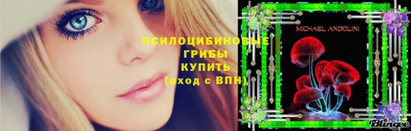 меф Каменск-Шахтинский