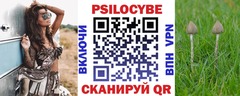 Галлюциногенные грибы Psilocybe  Купить  Змеиногорск 